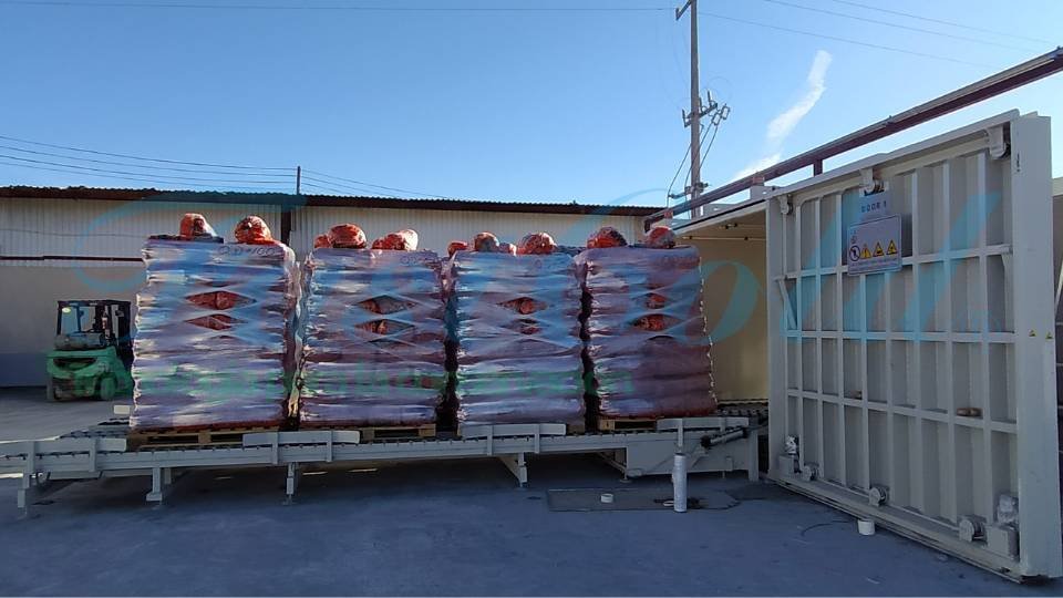 Preenfiramiento de Zanahoria por vacío